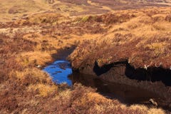 Peat hag royalty free stock photos Peat hag royalty free stock photos