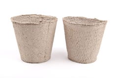 Peat pots royalty free stock image Peat pots royalty free stock image