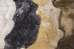 Peaux de fourrure pour des peaux de peau de mouton pour la conception intérieure, blanc, noir, beige, textures brunes de peaux photographie stock Peaux de fourrure pour des peaux de peau de mouton pour la conception intérieure, blanc, noir, beige, textures brunes de peaux photographie stock