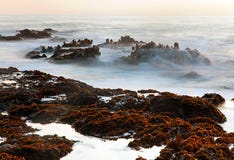 Pebble Beach eller Bean Hollow State Beach, Pescadero, CA arkivfoton Pebble Beach eller Bean Hollow State Beach, Pescadero, CA arkivfoton