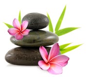 Pebbles And Frangipani Flowers Stock Image Pebbles And Frangipani Flowers Stock Image