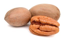 pecans photo libre de droits pecans photo libre de droits