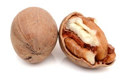 pecans image libre de droits pecans image libre de droits