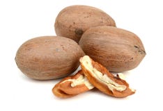 pecans photo libre de droits pecans photo libre de droits