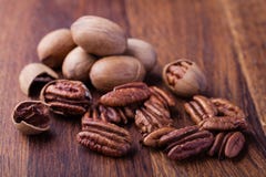 pecans photo stock pecans photo stock