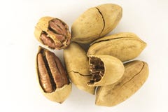 pecans image stock pecans image stock