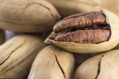 pecans photographie stock libre de droits pecans photographie stock libre de droits