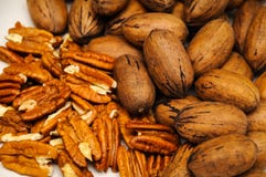 pecans photos stock pecans photos stock