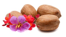 pecans photos stock pecans photos stock