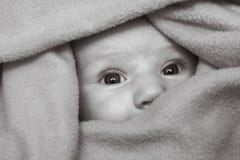 Peekaboo Peekaboo