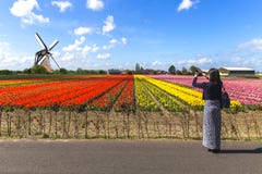 Peeping on Asian girl tourist at the tulips farm