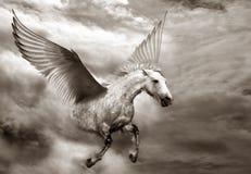 pegasus