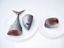 Peixes ( da cavala; saba fish) no fundo branco fotografia de stock royalty free Peixes ( da cavala; saba fish) no fundo branco fotografia de stock royalty free