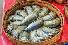 Peixes frescos fotos de stock Peixes frescos fotos de stock