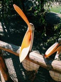 Pelican, nature. pretty trips. wonderful, pelicans royalty free stock photo Pelican, nature. pretty trips. wonderful, pelicans royalty free stock photo