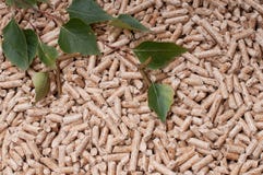 Pellets-biomassa royaltyfri foto Pellets-biomassa royaltyfri foto