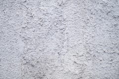 Pelliccia del gesso del cemento fotografia stock libera da diritti Pelliccia del gesso del cemento fotografia stock libera da diritti