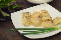 Pelmeni ruso con la cebolla verde fresca en la placa Fondo de madera Visión superior Primer Foto de archivo Pelmeni ruso con la cebolla verde fresca en la placa Fondo de madera Visión superior Primer Foto de archivo