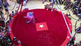 Película de la demostración del circo en el anillo rojo TX Película de la demostración del circo en el anillo rojo TX