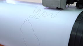 Drawing the image on the plotter