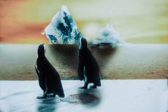 Penguin στο χιόνι και πάγος, ηλιοβασίλεμα με το ραγίζοντας παγόβουνο, globa απεικόνιση αποθεμάτων Penguin στο χιόνι και πάγος, ηλιοβασίλεμα με το ραγίζοντας παγόβουνο, globa απεικόνιση αποθεμάτων