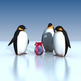 Penguins Stock Photography