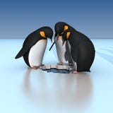 Penguins Royalty Free Stock Images