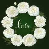 Peon?as del vector Marco redondo de las flores blancas Guirnalda de la flor en un fondo verde oscuro Plantilla para el diseño flo stock de ilustración Peon?as del vector Marco redondo de las flores blancas Guirnalda de la flor en un fondo verde oscuro Plantilla para el diseño flo stock de ilustración