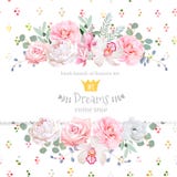 Peonia, wzrastał, orchidea, kamelia, menchia kwiaty i dekoracyjnych eucaliptus liści projekta wektorowa karta, ilustracja wektor Peonia, wzrastał, orchidea, kamelia, menchia kwiaty i dekoracyjnych eucaliptus liści projekta wektorowa karta, ilustracja wektor