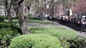 People relaxing at Union Square Park in NYC stock video footage People relaxing at Union Square Park in NYC stock video footage