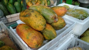 Pepaya, frutas de la papaya que es preparado imagen de archivo libre de regalías Pepaya, frutas de la papaya que es preparado imagen de archivo libre de regalías