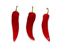 Pepe di peperoncino rosso rosso isolato su bianco alimento, oggetto fotografia stock libera da diritti Pepe di peperoncino rosso rosso isolato su bianco alimento, oggetto fotografia stock libera da diritti