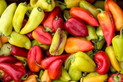 peper stock fotografie peper stock fotografie