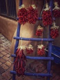 Peperoni di peperoncino rosso rosso fotografie stock Peperoni di peperoncino rosso rosso fotografie stock