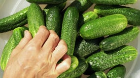 Pepinos Pepinos