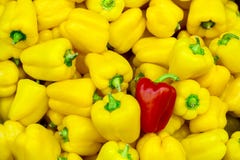 Peppers on the counter at the store royalty free stock image Peppers on the counter at the store royalty free stock image