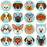 Pequeñas caras del perro fijadas con el círculo libre illustration Pequeñas caras del perro fijadas con el círculo libre illustration