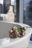 Pequeñas rosas sucias en un baño imagen de archivo libre de regalías Pequeñas rosas sucias en un baño imagen de archivo libre de regalías