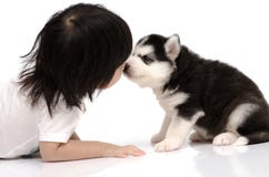 Pequeño bebé asiático que besa el perrito del husky siberiano imagenes de archivo Pequeño bebé asiático que besa el perrito del husky siberiano imagenes de archivo