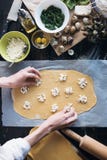 Per gradi il cuoco unico prepara i ravioli con il formaggio di ricotta, le uova di quaglia dei tuorli e gli spinaci con le spezie Fotografia Stock Libera da Diritti Per gradi il cuoco unico prepara i ravioli con il formaggio di ricotta, le uova di quaglia dei tuorli e gli spinaci con le spezie Fotografia Stock Libera da Diritti