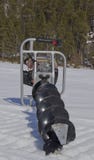Perceuse de moteur pour p?cher dans la neige image libre de droits Perceuse de moteur pour p?cher dans la neige image libre de droits