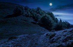 Percorso attraverso la foresta sul prato del pendio di collina alla notte fotografie stock libere da diritti Percorso attraverso la foresta sul prato del pendio di collina alla notte fotografie stock libere da diritti