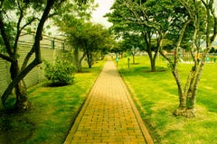Percorso del parco un giorno soleggiato fotografia stock libera da diritti Percorso del parco un giorno soleggiato fotografia stock libera da diritti