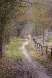 Percorso della sporcizia nella lan selvaggia della natura di Forest Woods Daytime Walk Strolling fotografie stock Percorso della sporcizia nella lan selvaggia della natura di Forest Woods Daytime Walk Strolling fotografie stock