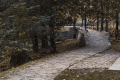 Percorso di pietra fra gli alberi di autunno nel parco nazionale immagine stock Percorso di pietra fra gli alberi di autunno nel parco nazionale immagine stock