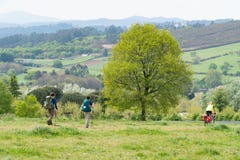 Peregrinos que andam a Santiago de Compostela Camino de Santiago foto de stock Peregrinos que andam a Santiago de Compostela Camino de Santiago foto de stock
