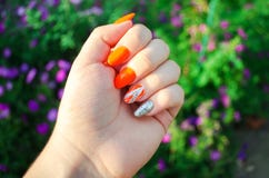Perfect manicure and natural nails. Attractive modern nail art design. orange autumn design. long well-groomed nails royalty free stock photos Perfect manicure and natural nails. Attractive modern nail art design. orange autumn design. long well-groomed nails royalty free stock photos