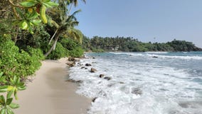 Perfect Summer Sri Lanka Slowmotion 4k