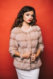 Perfezioni per il freddo dell'inverno E Donna graziosa in pelliccia alla moda r fotografia stock Perfezioni per il freddo dell'inverno E Donna graziosa in pelliccia alla moda r fotografia stock