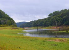 Periyar jezioro z Greenery i lasem w porze deszczowa Naturalny tło - Idukki, Kerala, India - fotografia royalty free Periyar jezioro z Greenery i lasem w porze deszczowa Naturalny tło - Idukki, Kerala, India - fotografia royalty free